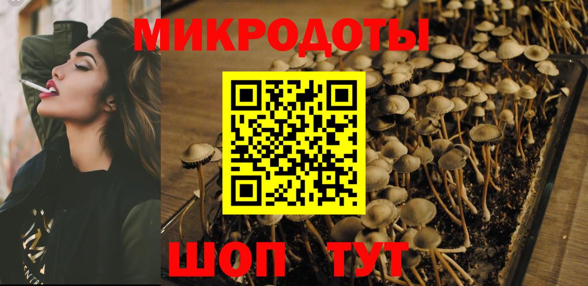 Пятигорск  Псилоцибиновые грибы прущие грибы  Вход с VPN 